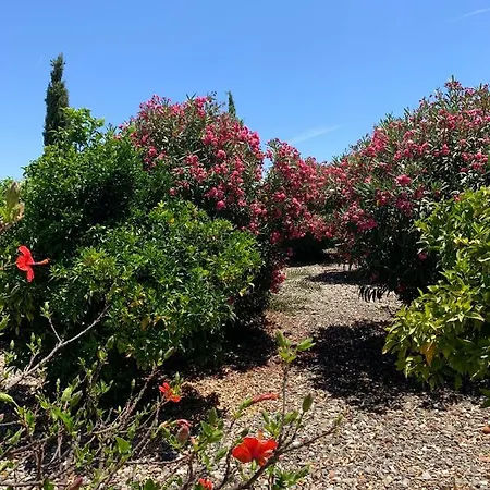 Finca Edyta * Málaga